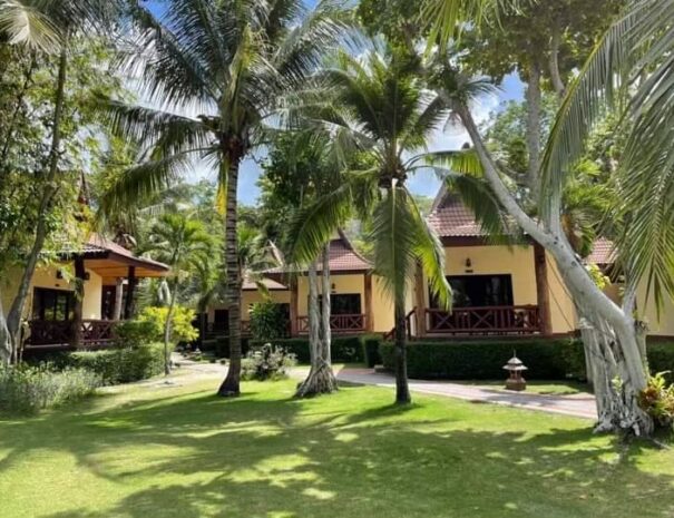 LINE_ALBUM_Other Activity_260225_11