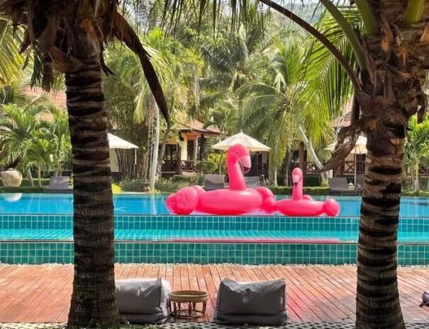 LINE_ALBUM_Other Activity_260225_3